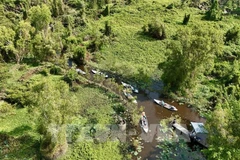 La base de datos forestales se completará a finales de este año, adaptándose al Reglamento de Deforestación de la UE (Foto: VNA)