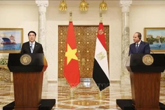 El presidente vietnamita, Luong Cuong (izq.), y su homólogo egipcio, Abdel Fattah El-Sisi, en la conferencia de prensa posterior a sus conversaciones. (Foto: VNA)