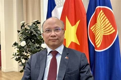 El embajador vietnamita en Francia, Dinh Toan Thang (Fuente: VNA)