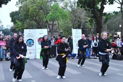 Practicantes de Thuy Phap actúan en el lago Hoan Kiem (Foto: Vietnam+)