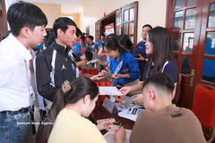 Para junio de 2026, Vietnam contaba con 499 empresas autorizadas para prestar servicios de empleo en el extranjero. (Foto: VNA)