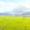 Una central de energía eólica en la provincia de Khanh Hoa. (Foto: VNA)