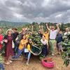  Un siglo de café de Khe Sanh: la tierra roja que da vida al prestigioso arábica vietnamita