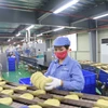 Operación de una línea de producción de fideos de alta gama en la empresa Padol Vina Company Limited. Foto: baophutho
