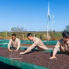 Proceso de producción de café en la empresa Café Ngon Avatar Gia Lai, que cumple los requisitos para la exportación oficial al mercado de Nueva Zelanda y a varios países europeos. Foto: VNA