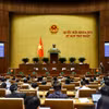Durante una reunión en el primer período de sesiones de la Asamblea Nacional de la XVI Legislatura. (Foto: VNA)