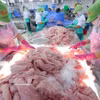 Trabajadores clasifican y congelan filetes de pangasius para exportación en la planta de procesamiento de la empresa Go Dang Tien Giang, en la provincia d Dong Thap. (Foto: VNA)