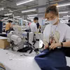 Trabajadores confeccionan prendas destinadas a la exportación al mercado de Estados Unidos en la empresa de confección TAL Vinh Phuc. (Foto: VNA)