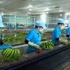 Vietnam busca impulsar exportaciones en el segundo semestre