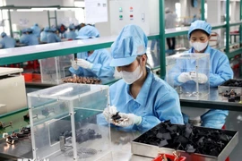 Foto de ilustración. (Fuente: VNA)