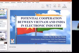 Do Thi Thuy Huong, miembro del Comité Ejecutivo de la Asociación de Industrias Electrónicas de Vietnam, habla en el evento. (Fuente: VNA)