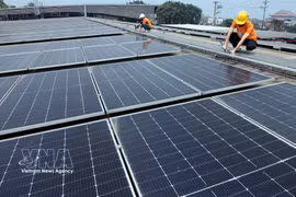 Las fuentes de recursos humanos de ESG en Vietnam sigue siendo limitadas tanto en cantidad como en calidad. (Foto: VNA)