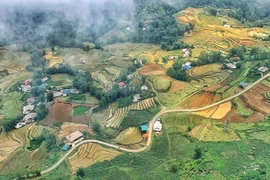 Sapa - la "Suiza de Vietnam” conquista a los viajeros surcoreanos
