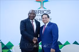 El primer ministro de Vietnam, Pham Minh Chinh, se reunió con el presidente sudafricano, Cyril Ramaphosa. (Fuente: VNA)