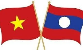 Foto de ilustración. (Fuente: Internet)