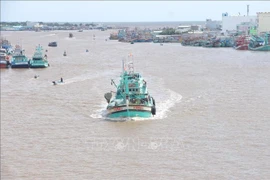 Barcos pesqueros entrando y saliendo del estuario del río Doc, provincia de Ca Mau. (Foto: VNA)