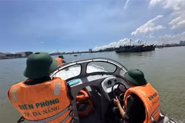 Da Nang impulsa fuertemente lucha contra pesca ilegal