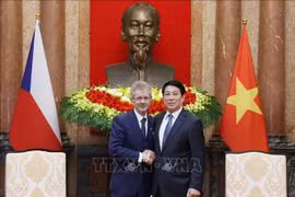 El presidente vietnamita, Luong Cuong, y el presidente del Senado del Parlamento checo, Milos Vystrcil. (Fuente: VNA)