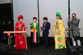 Una de las actuaciones artísticas en el evento. (Fuente: VNA)