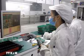 Trabajadores de la industria de semiconductores. (Fuente: VNA)