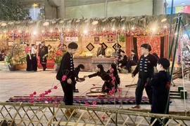 Una de las actuaciones artísticas en el Festival. (Fuente: VNA)