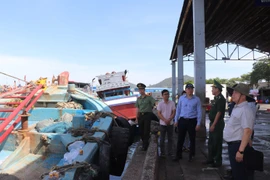 El vicepresidente del Comité Popular de Ciudad Ho Chi Minh, Hoang Nguyen Dinh, inspecciona las labores de prevención y lucha contra la pesca ilegal, no declarada y no reglamentada (IUU) en el puerto de Hung Thai, comuna de Long Hai. (Fuente: VNA)