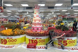 Foto de ilustración. (Fuente: VNA)