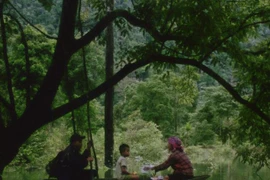 Hair, Paper, Water (Cabello, Papel, Agua), una coproducción entre Vietnam y Bélgica, será presentada en el Festival de Cine Documental “En ville!” en Bruselas. (Fuente: VNA)