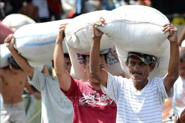 Foto de ilustración. (Fuente: AFP/VNA)
