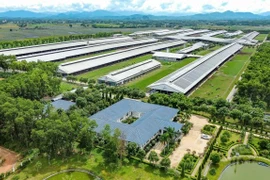 Sistema de granjas de Vinamilk. (Fuente: Internet)