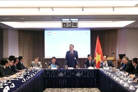 Líder partidista dialoga con miembros de la Red de Innovación de Vietnam en Corea del Sur