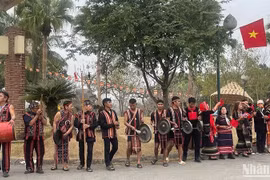 Tocan gongs para celebrar la primavera. (Foto: Nhan Dan)