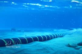 Foto de ilustración. (Fuente: VNA)