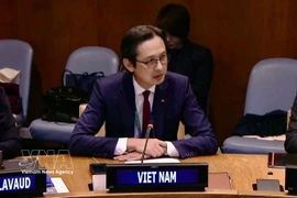 El embajador Do Hung Viet, jefe de la Misión Permanente de Vietnam ante la ONU, en el evento. (Fuente: VNA)