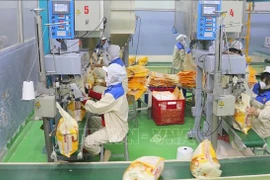 Envasado de arroz para exportación en la fábrica de Thao Son, filial del grupo Loc Troi. (Fuente: VNA)