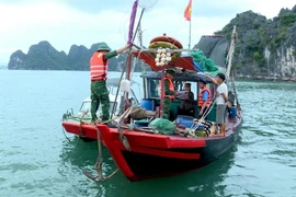 La Estación de Guardia Fronteriza del Puerto de Hon Gai realiza la labor de inspección. (Fuente: Internet)