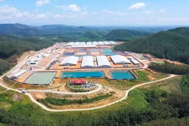 Empresa BAF Vietnam propone proyectos de construcción de granjas porcinas inteligentes. (Fuente: BAF)