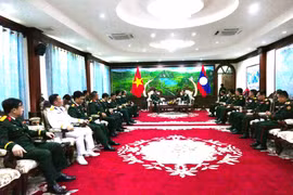 Panorama de la reunión. (Fuente: VNA)