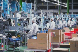 Foto de ilustración. (Fuente: VNA)