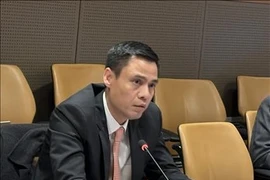 Dang Hoang Giang, viceministro de Relaciones Exteriores de Vietnam. (Fuente: VNA)