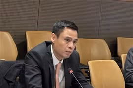 Dang Hoang Giang, viceministro de Relaciones Exteriores de Vietnam. (Fuente: VNA)
