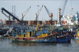 Foto de ilustración. (Fuente: VNA)