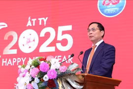 Bui Thanh Son, viceprimer ministro y canciller de Vietnam, habla en el evento. (Fuente: VNA)