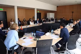Panorama de la reunión. (Fuente: VNA)