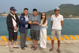 Turistas liberan la tortuga marina. (Fuente: VNA)