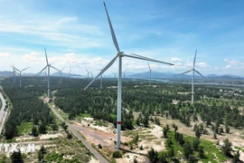 Foto de ilustración. (Fuente: VNA)