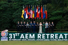 Delegados en la 31 Reunión restringida de Ministros de Economía de la ASEAN se toman foto de recuerdo. (Fuente: VNA)