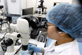 Ley de Ciencia, Tecnología e Innovación entrará en vigor el 1 de octubre venidero. (Fuente: VNA)