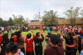 En el evento. (Fuente: VNA)