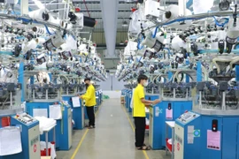 Foto de ilustración. (Fuente: VNA)